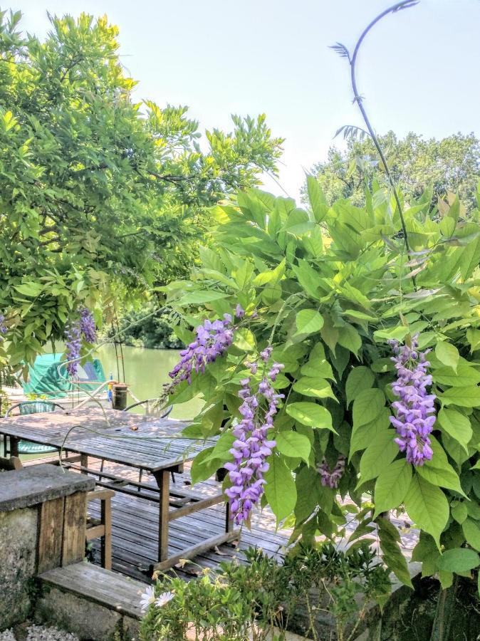 Quai Des Fleurs Bed & Breakfast Saint-Savinien Exterior foto